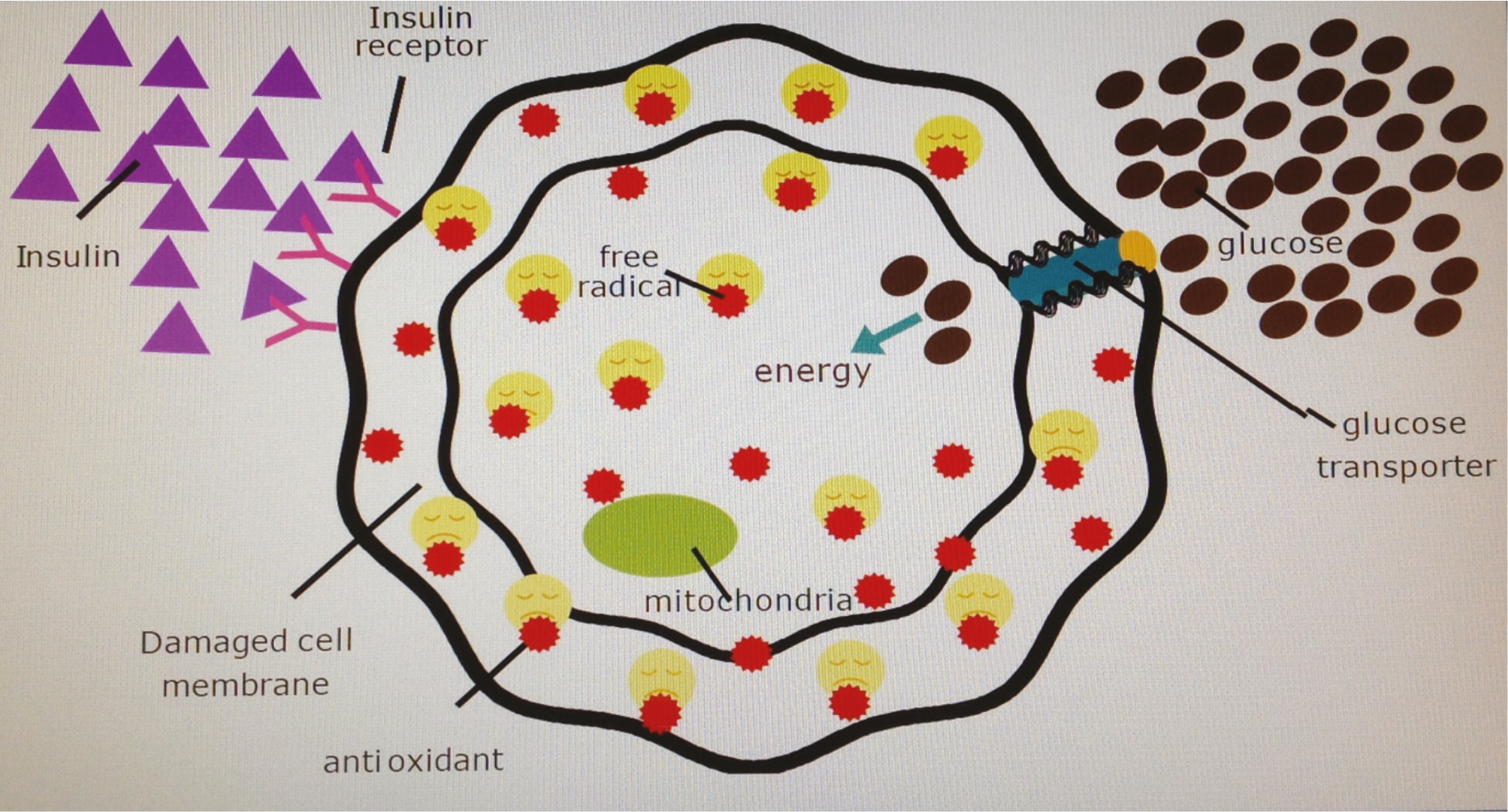 cell